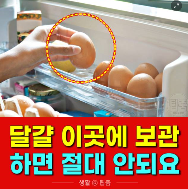 달걀 보관방법 '이곳' 절대 안되요 | 여름철 냉장고 계란 보관법