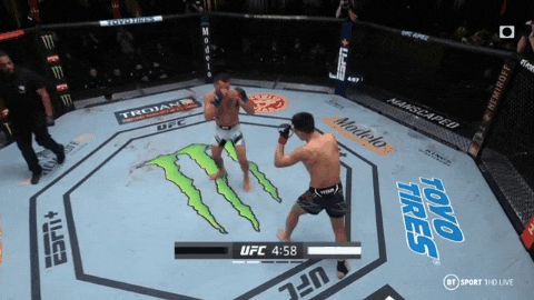 UFC 베가스 29: 정찬성 vs 댄 이게 리뷰(GIF) - 레슬좀비, 피니셔 스팅