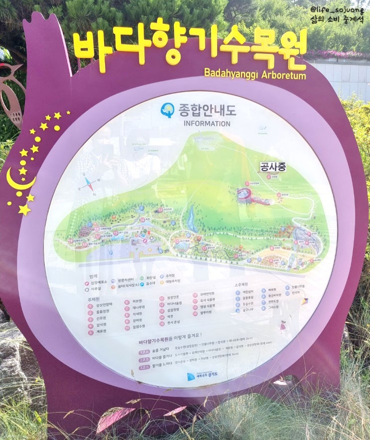  안산 대부도에 있는 바다 향기 수목원에 다녀왔어요. 꽃 보며 숲에서 꽃 힐링(대부도 갈만한 곳)