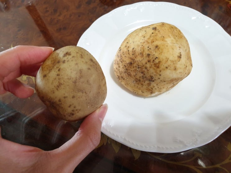  춘천 감자빵 리얼 후기!!! 간편아침식사로 딱!!