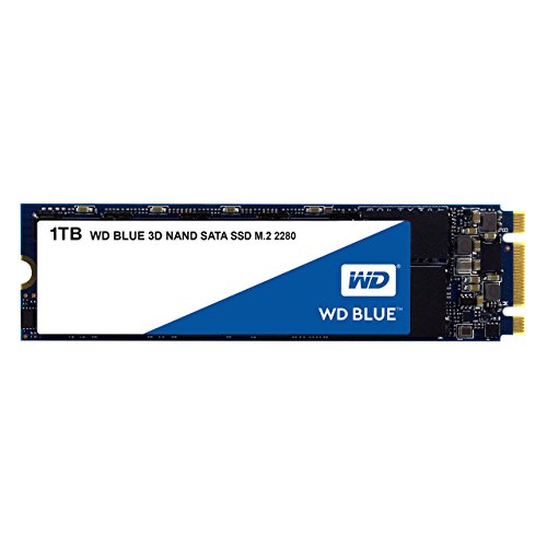 후기가 정말 좋은 Western Digital Western Digital WDS100T2B0B WD Blue 1TB 3D NAND 내장 SSD M.2 SATA-35318, 2.5