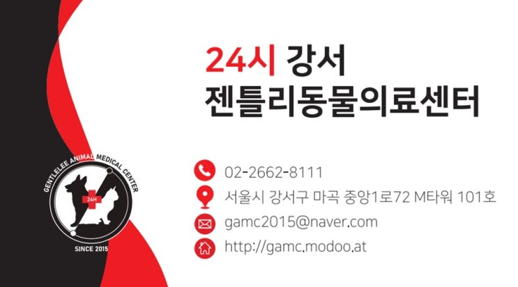  강아지 초콜릿 소량 먹었을 때 공항동 24시간 동물병원
