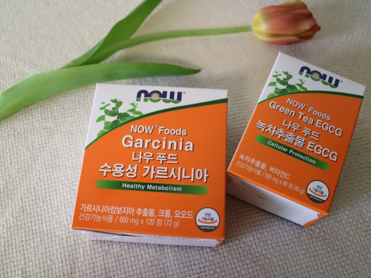  체지방줄이는법 :나우푸드 가르시니아 & 녹차 추출물 EGCG