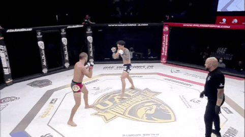 유상훈 UAE 워리어즈에서 초살 TKO패 등 MMA 뉴스 유상훈 UAE 워리어즈에서 초살 TKO패 등 MMA 뉴스