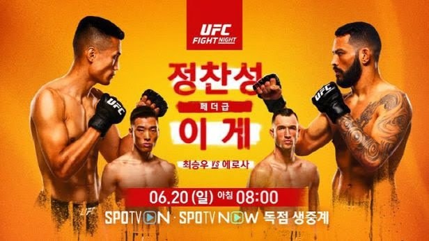 UFC 정찬성VS댄 이게 일반인이 본 감상평과 인터뷰 번역