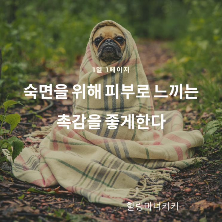  1일 1페이지 ㅡ 89일 감촉이 보드라운 침구가 숙면을 유도한다