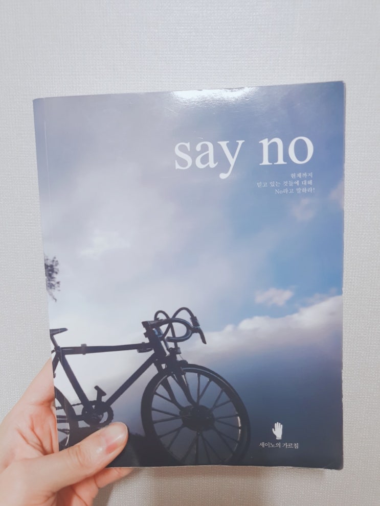 내가 읽은 책 3 - 세이노의 가르침(Say no!)