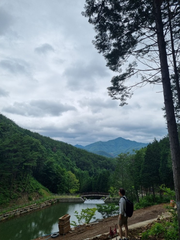  하동 여행 힐링 산책하기 좋은 하동편백자연휴양림,개조심