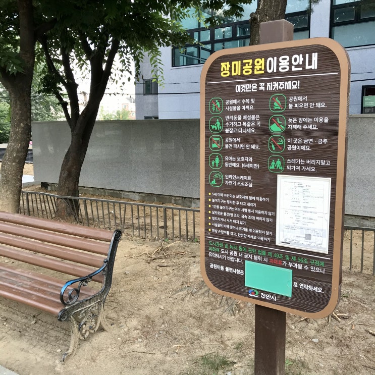 천안 가볼만한곳 미라초 쌍용동 광명아파트 테니스 치기 좋은 장미공원(쌍용7공원)