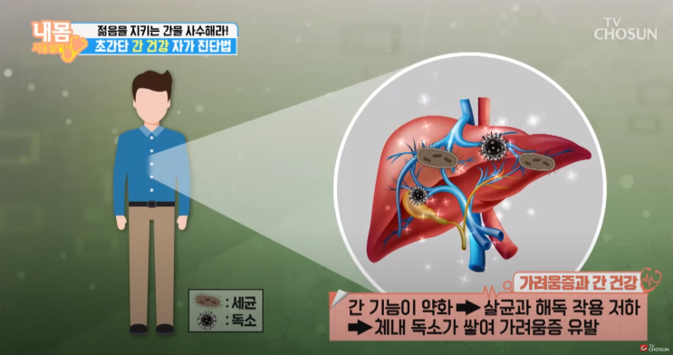  간 건강에 좋은 누워서 하는 마사지 및 자가진단