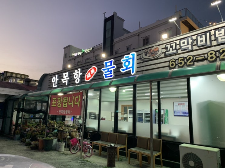  안목해변 맛집: 안목항물회 추천