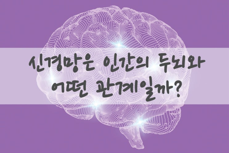  신경망의 이해