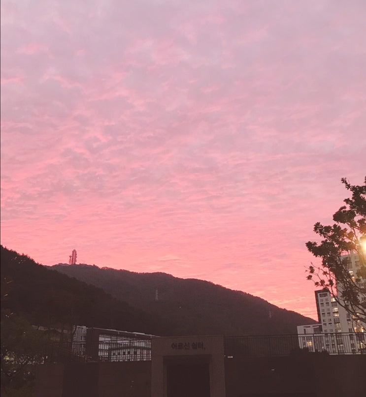 다시, 알찬하루 만들기 ~ (27일차)