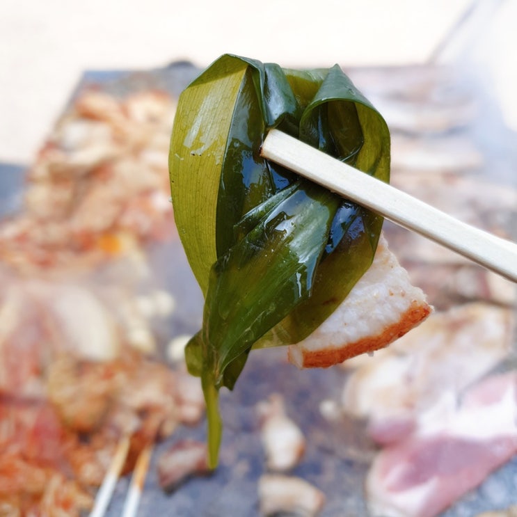 의외로 인기있는 진미찬 명이나물 업소용 식자재 10kg 1통 좋아요 의외로 인기있는 진미찬 명이나물 업소용 식자재 10kg 1통 좋아요
