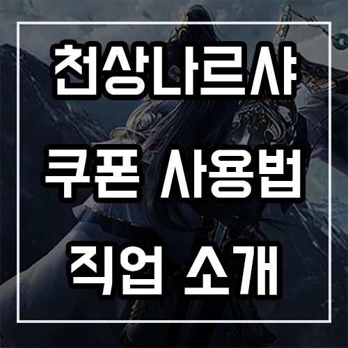 천상나르샤 쿠폰 사용법, 직업 소개