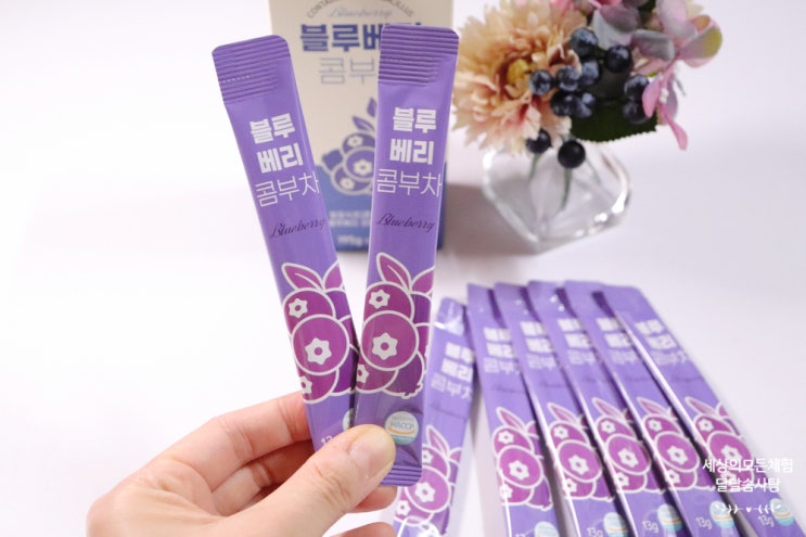  콤부차 후기 간편한 스틱타입 참트루 블루베리 콤부차