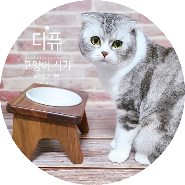 디퓨 고양이식기 : 적당한 높이에 고양이밥그릇으로 삶에 질을 높여 주세요
