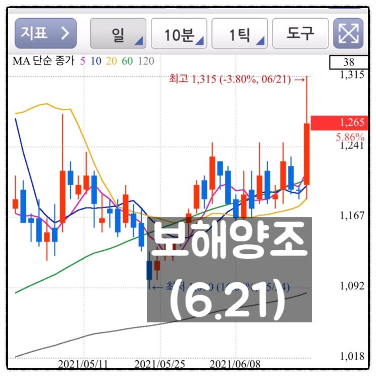  [미자의 주식일기] 보해양조(6.22)
