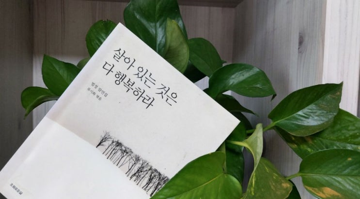 인간의 배경 / 법정 살아있는것은 다 행복하라 인간의 배경 / 법정 살아있는것은 다 행복하라