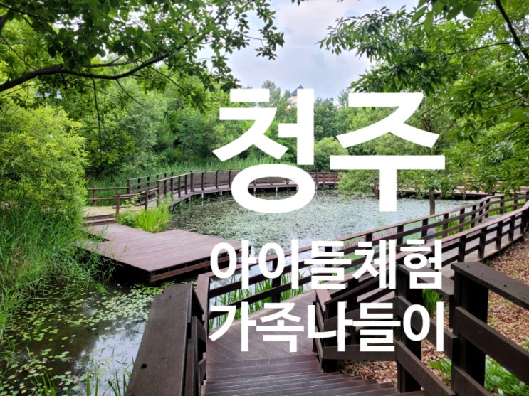  청주 아이와 가볼만한곳 체험학습장으로 딱인 원흥이 두꺼비생태공원