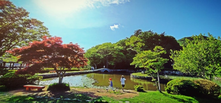 진도(2): 운림산방 [정원이 아름다운 그 곳] 한국인이 꼭 가봐야할 관광지. 아이와 떠나는 여행