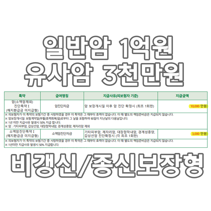  백년친구 내가고른건강보험 6월한도 증액