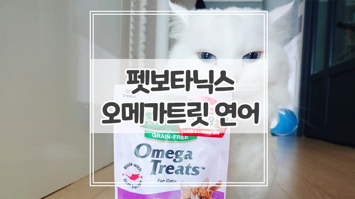  면역력강화에 펫보타닉스 고양이 오메가트릿 연어 추천해요