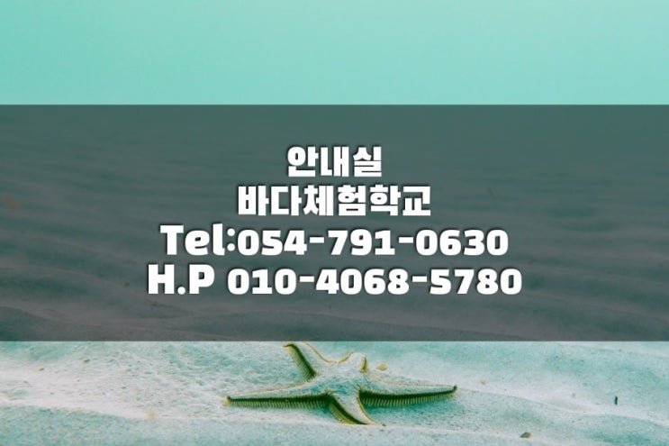  울릉도 펜션 소개 바다체험학교 펜션만의 열두가지 매력