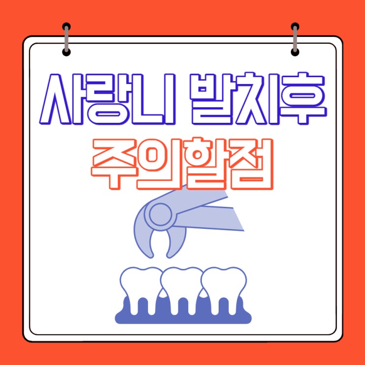  사랑니 발치 후 주의할 점