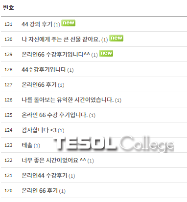 [테솔 수강 후기], 내가 얻은 것은 자신감!!
