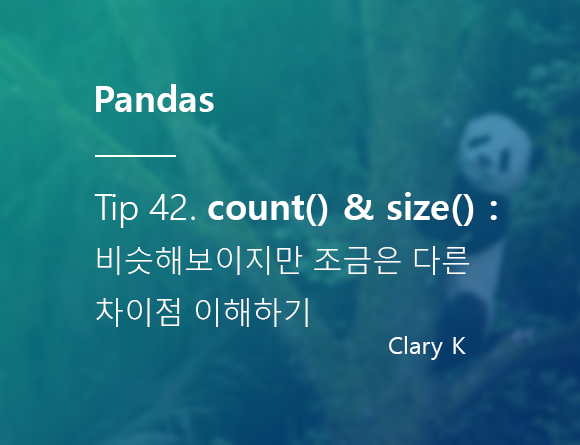 [파이썬] 판다스(pandas) 팁42. count()와 size()의 차이점을 알아보자