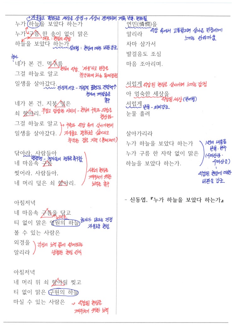 신동엽 - 누가 하늘을 보았다 하는가, 해설 / 해석 / 분석 / 정리