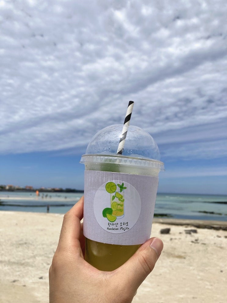  제주 금능샌드 - 금능해변 피크닉용 테이크아웃 파니니&샌드위치 맛집 (주차/웨이팅/메뉴)