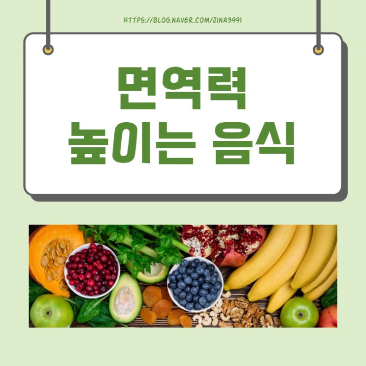  면역력 높이는 음식 어떤 것이 있을까요?