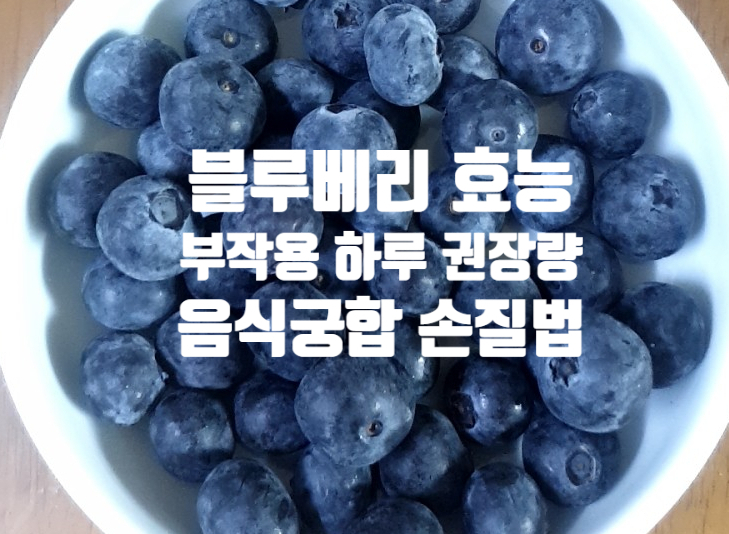 항염 항산화 블루베리 효능 (ft. 부작용 손질법 하루 섭취 권장량) 우유 음식 궁합