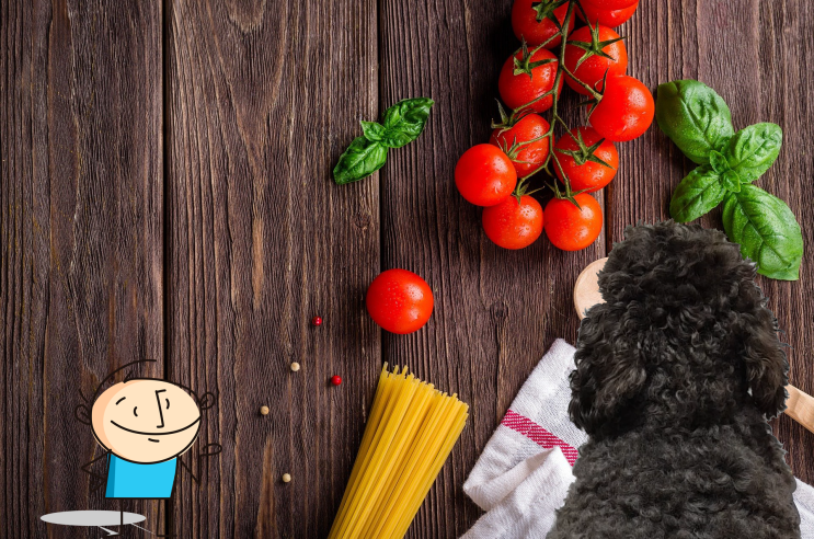  강아지 방울토마토 급여 시 효능과 주의할 점