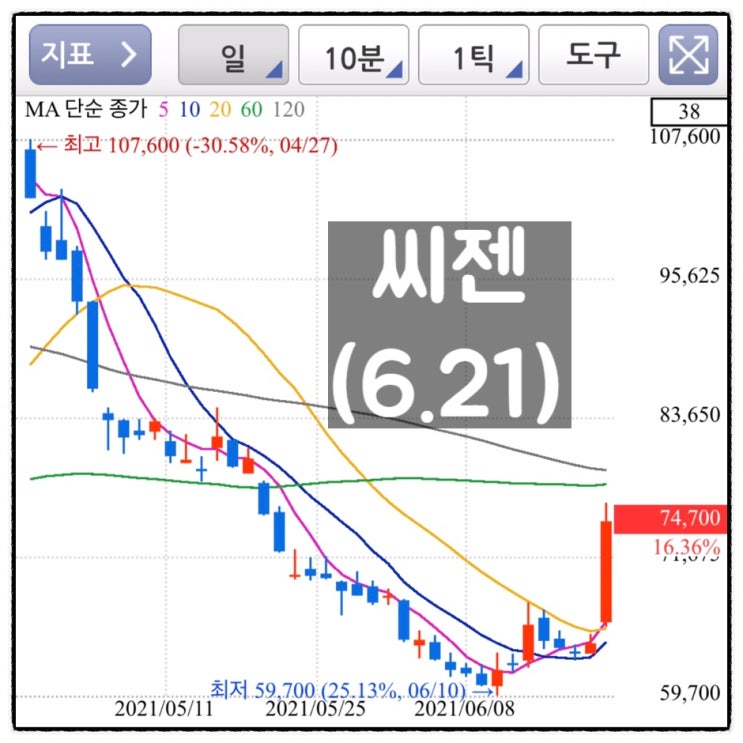  [미자의 주식일기] 씨젠(6.21)