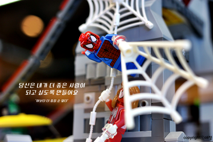  [사진 디자인] 이보다 더 좋을 순 없다