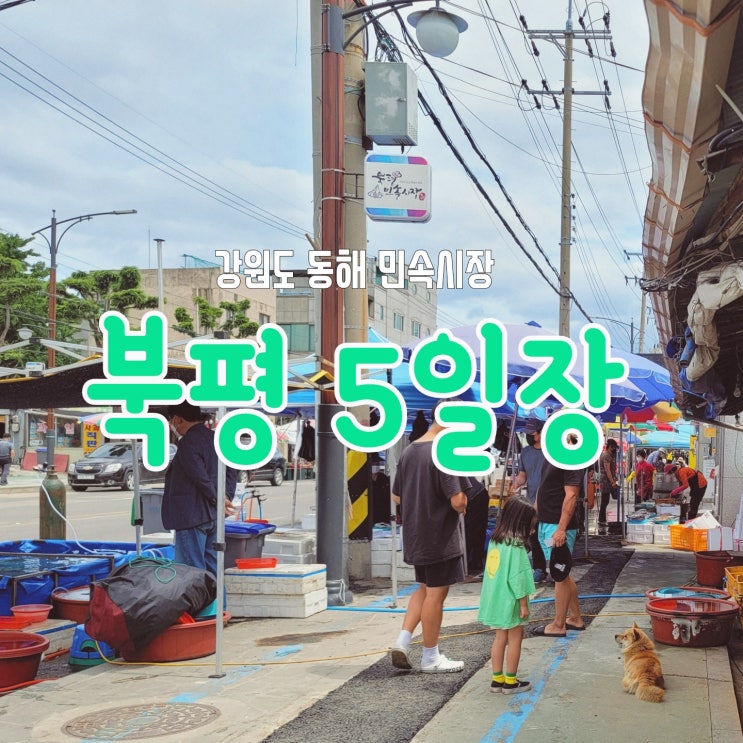  강원도 장날 북평 5일장 방문기, 저렴한 먹거리와 볼거리