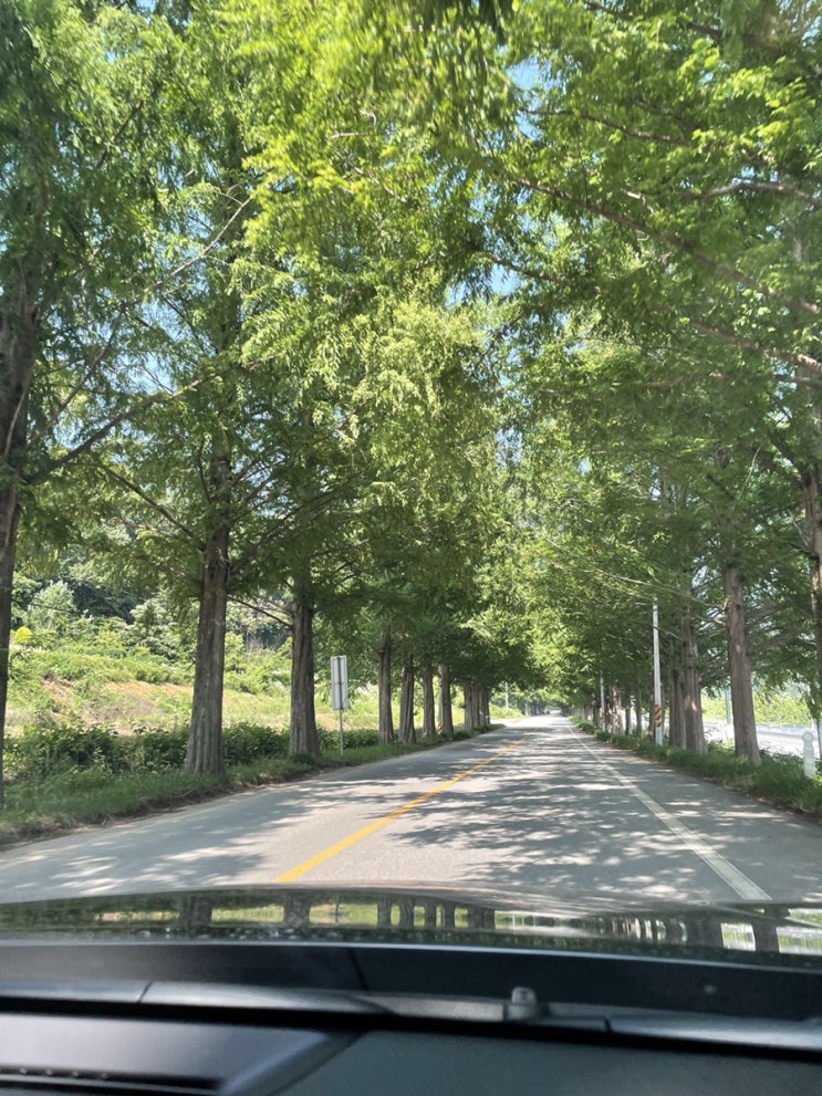  광주 근교 드라이브 (2021.06.19)