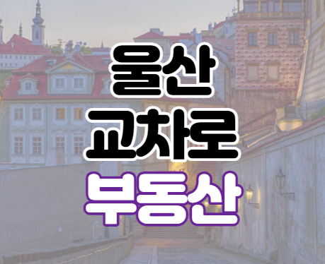 울산교차로 부동산 매물 조회 바로가기 울산교차로 부동산 매물 조회 바로가기