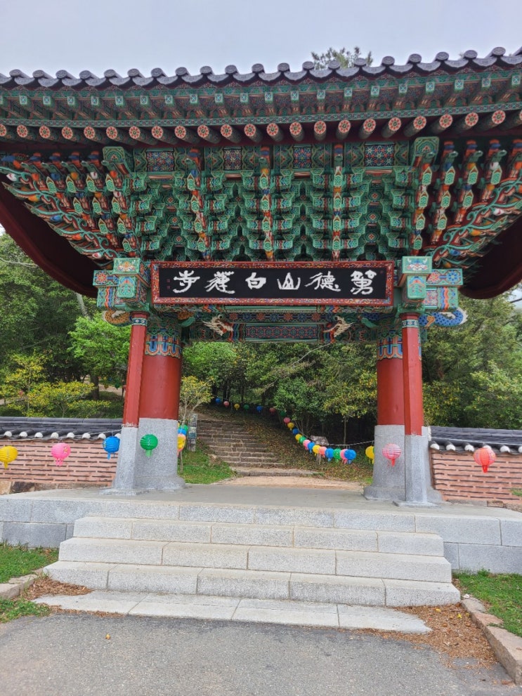  언택트 여행 (강진 백련사)