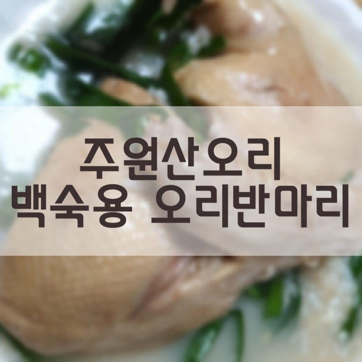  초복음식 제격 주원산오리 오리백숙 반마리