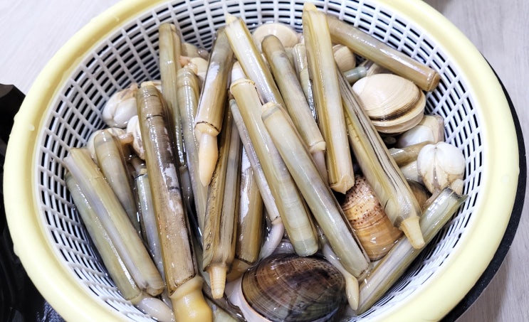  몽산포해수욕장 동죽 맛조개 잡는법? 잡기 체험