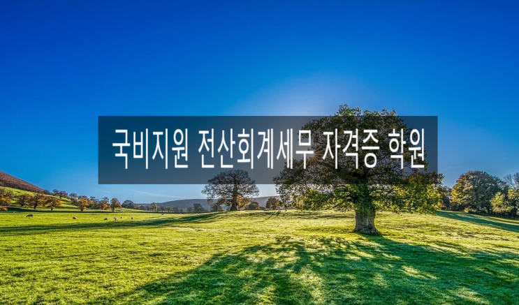 국비지원 전산회계세무 자격증 학원_서울IT직업전문학교