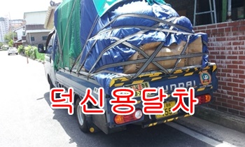 덕신용달 덕하~콜. 덕신용달 덕하~콜.
