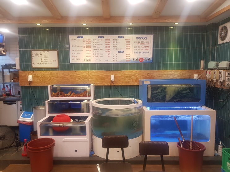  대전 중구 문창동 산오징어회 우럭매운탕 맛집 동해회수산 마차