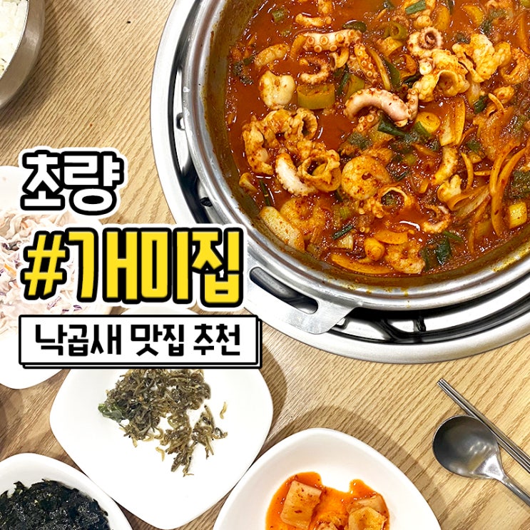 부산역낙곱새가 맛있는 초량밥집 개미집 포장 가능