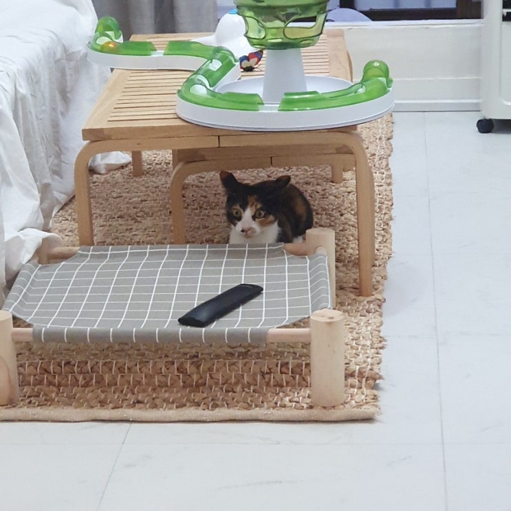  사냥꾼가을이