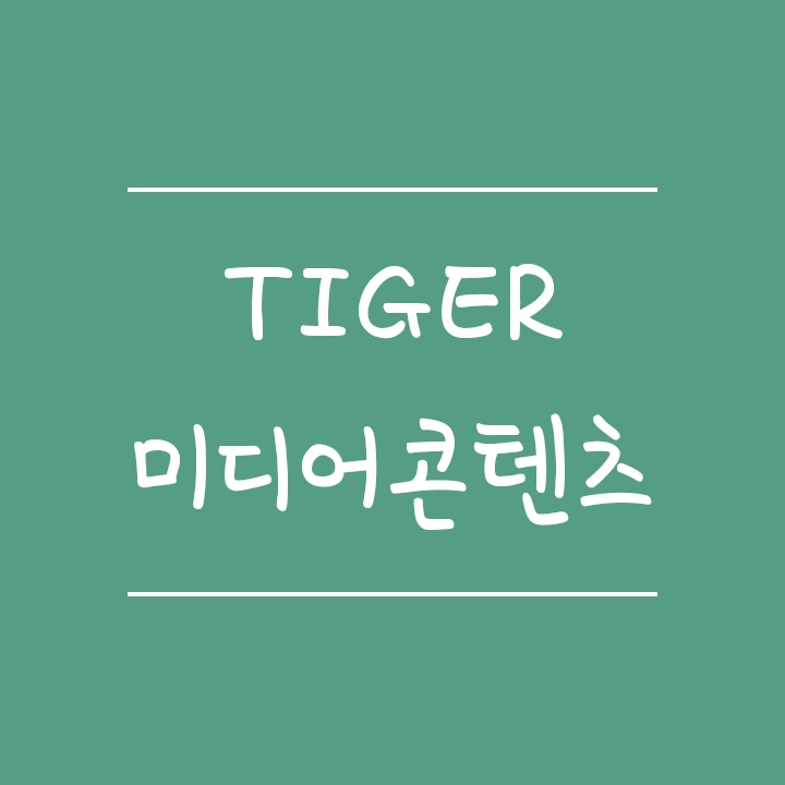 엔터테인먼트, 공연 관련주에 투자 - Tiger 미디어콘텐츠 (타이거ETF) 엔터테인먼트, 공연 관련주에 투자 - Tiger 미디어콘텐츠 (타이거ETF)